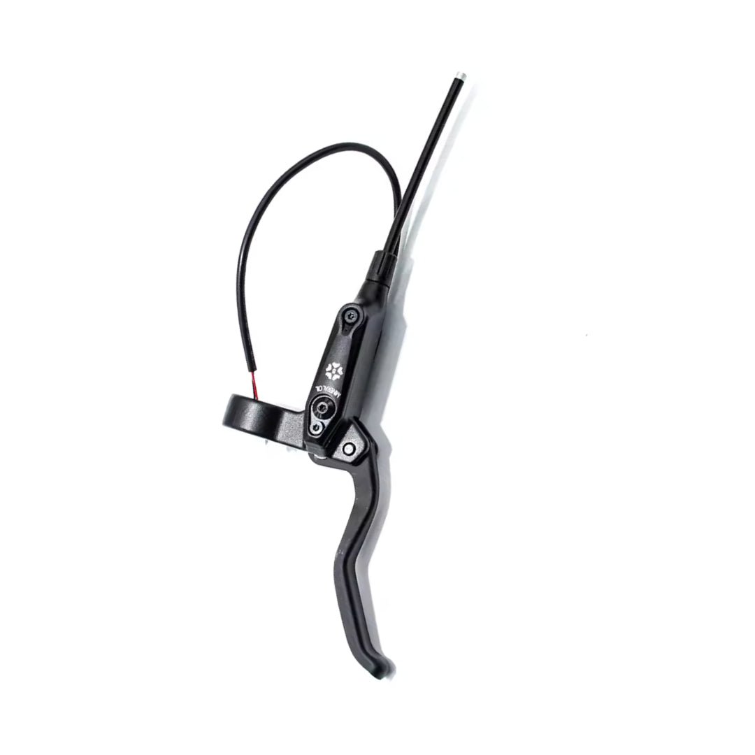 Bromshandtag Ninebot GT1/GT2 - Reservdel - Wheelyshop