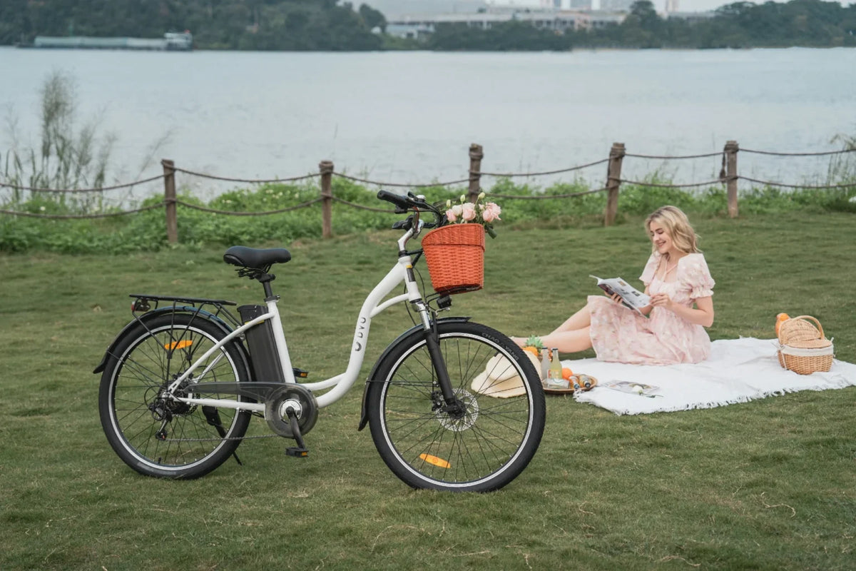 Bici elettrica DYU C6 con un peso di 27 kg – Wheelyshop