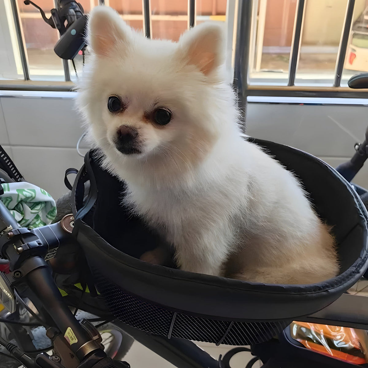 Smart hundkorg cykel - Tillbehör - Wheelyshop