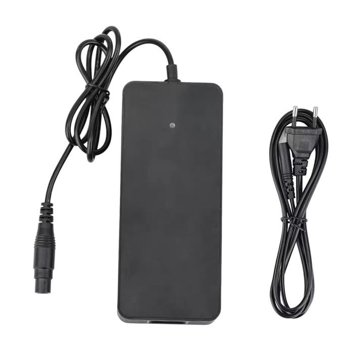 Caricabatterie rapido Xiaomi 4 Pro Plus/Max + Ninebot ZT3 - Accessori - Wheelyshop