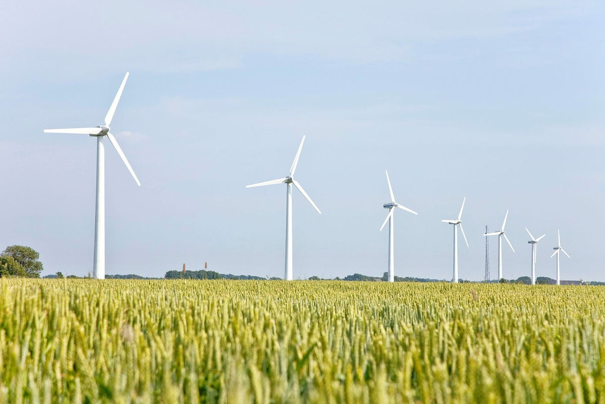 Pale eoliche in fila dietro un campo di cereali verde – quanto costa l’elettricità per ricaricare un monopattino