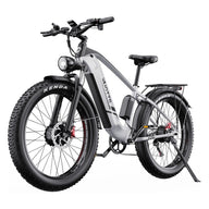 Bicicletta elettrica veloce