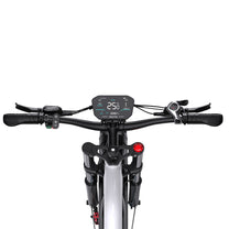 Manubrio della Duotts N26 con display e comandi in colore grigio