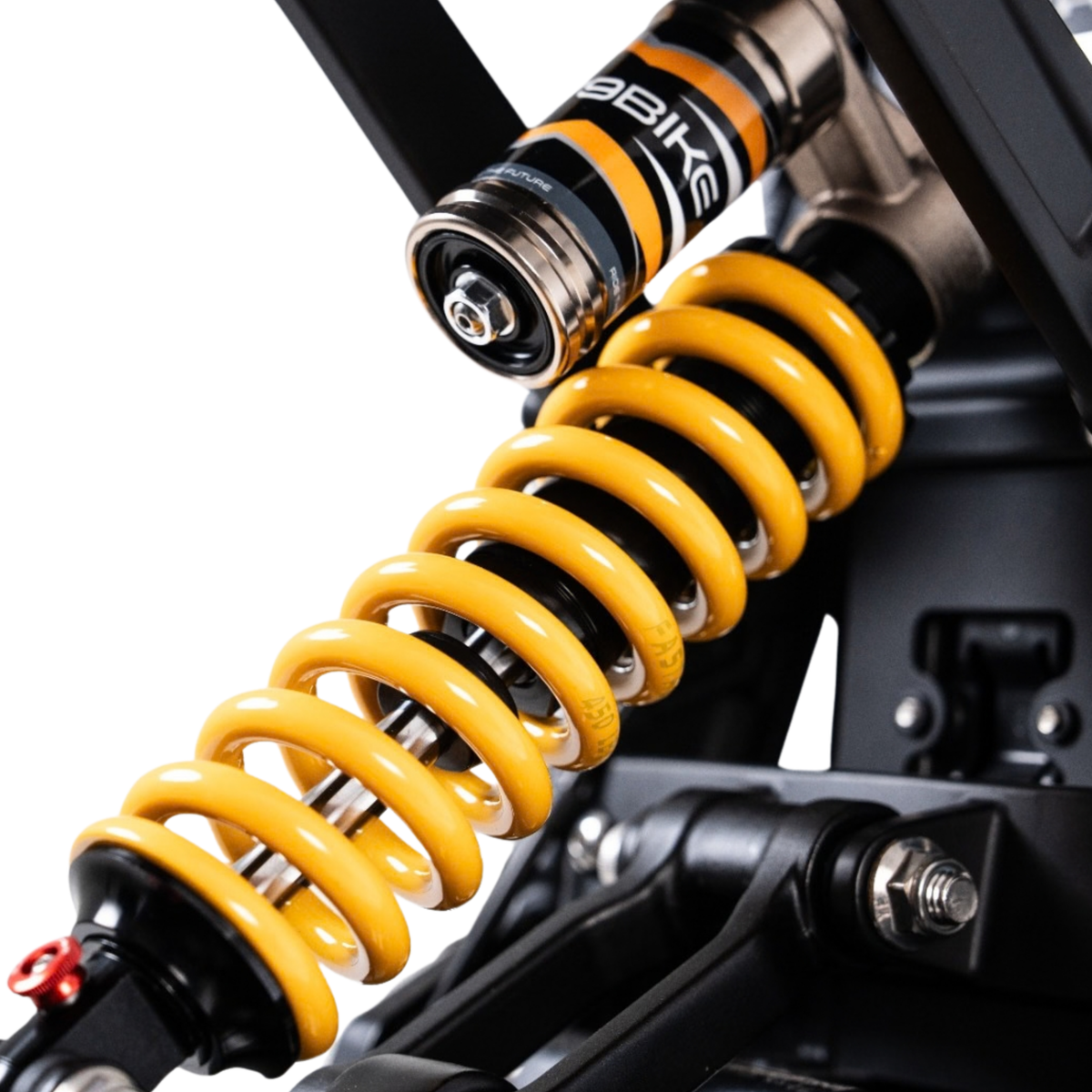 79BIKE Lynx Trail - Moto da cross elettrica - Wheelyshop