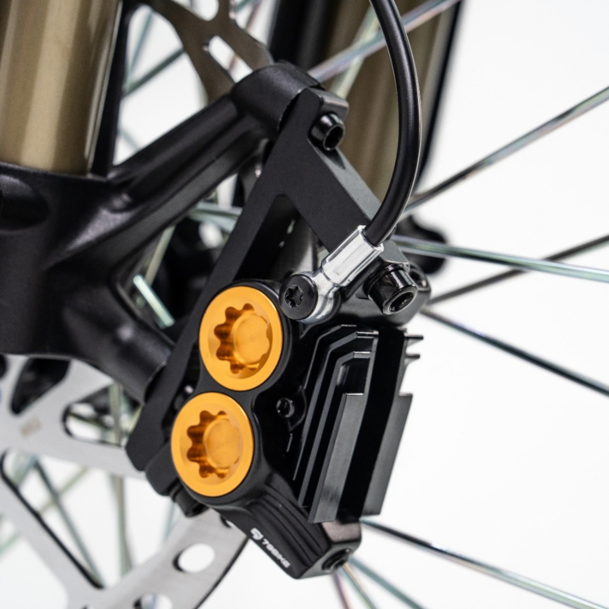 79BIKE Lynx Trail - Moto da cross elettrica - Wheelyshop