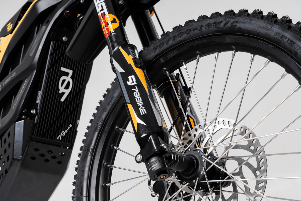 Ruota anteriore e forcella della 79BIKE Falcon Pro RL