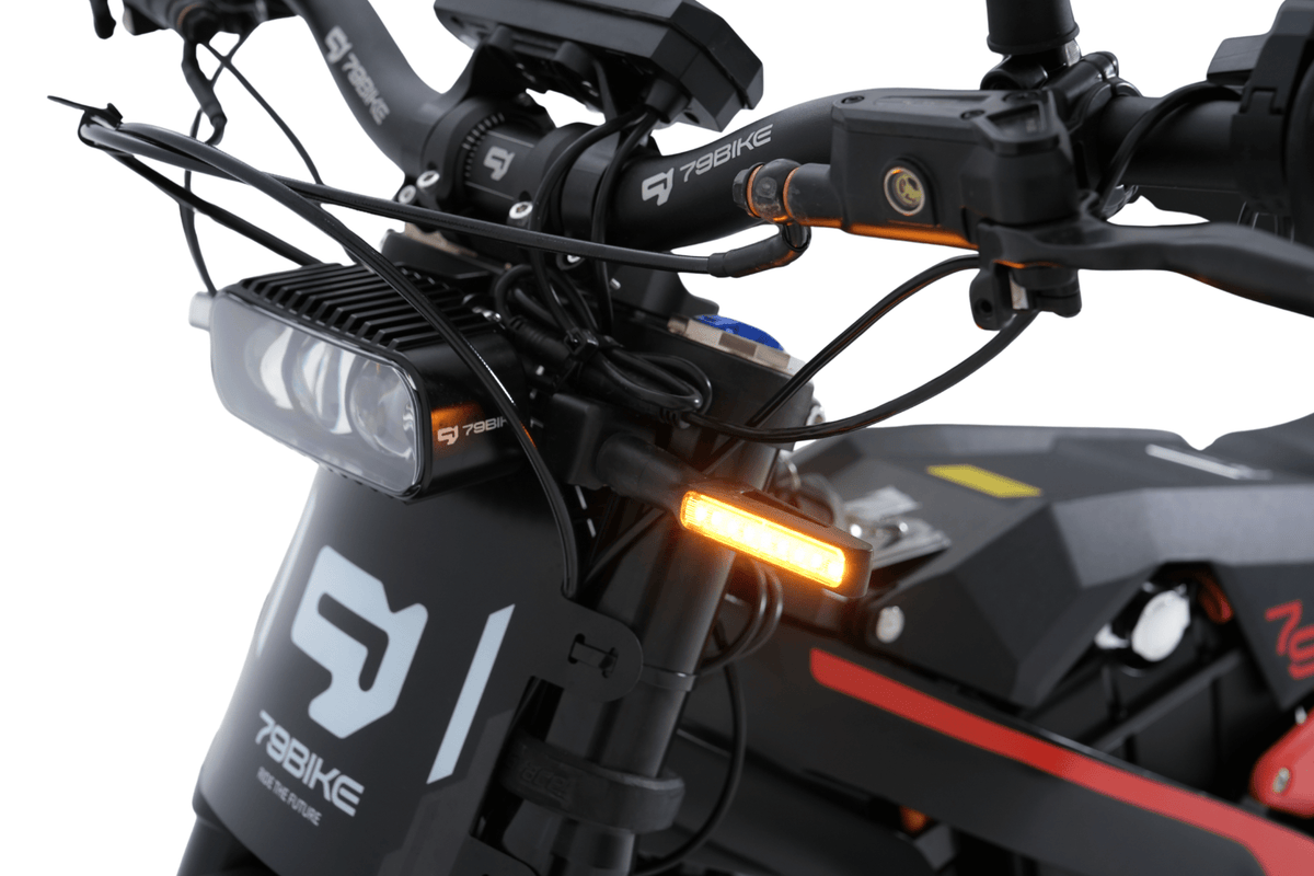 Freccia della 79BIKE Falcon Pro RL