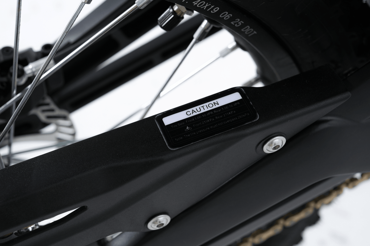 Ruota posteriore della 79BIKE Falcon Pro RL