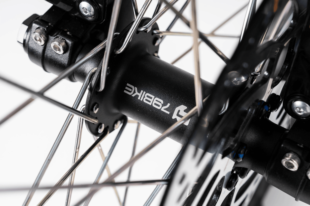 Ruota anteriore e forcella della 79BIKE Falcon Pro RL