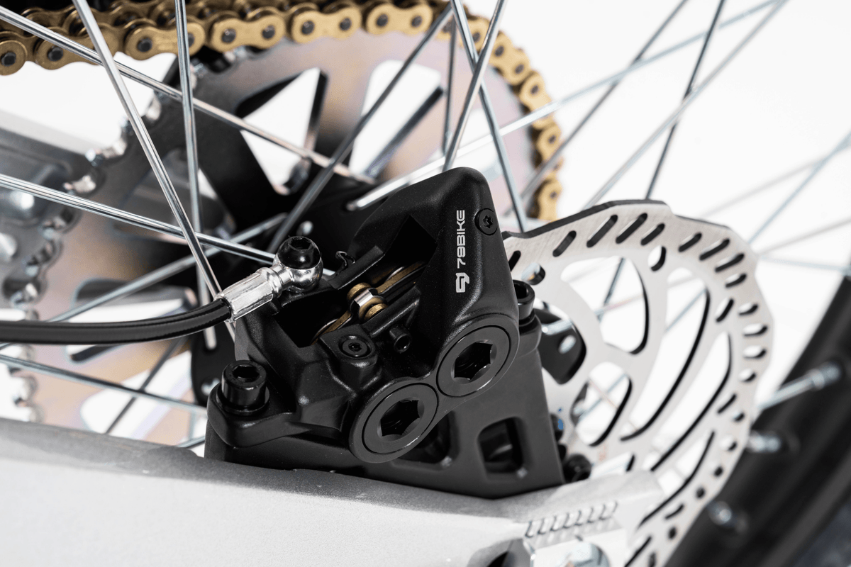 Freno a disco della 79BIKE Falcon Pro RL