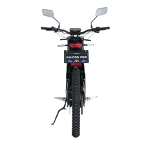 Moto da cross elettrica 79BIKE Falcon Pro RL vista da dietro