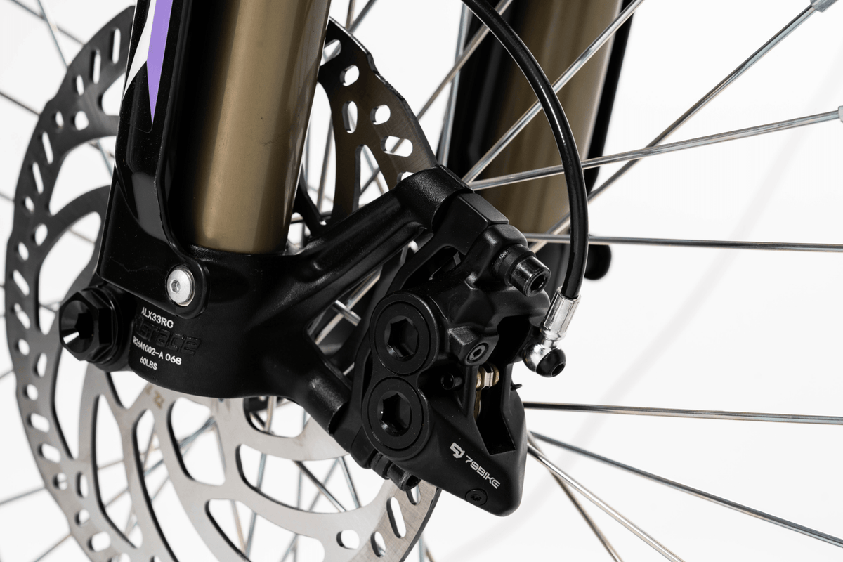 Ruota anteriore e forcella della 79BIKE Falcon Pro RL