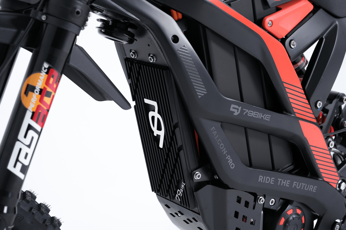 Telaio della 79BIKE Falcon Pro RL