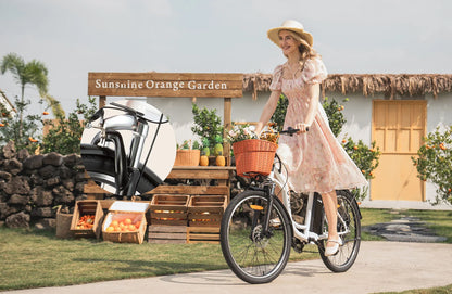 Bici elettrica DYU C6 con potenza del motore di 250W – Wheelyshop