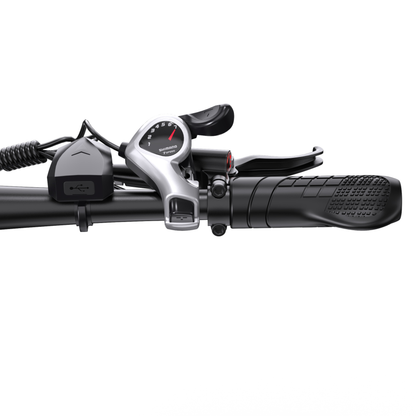 Duotts C29-M - Bicicletta elettrica - Wheelyshop