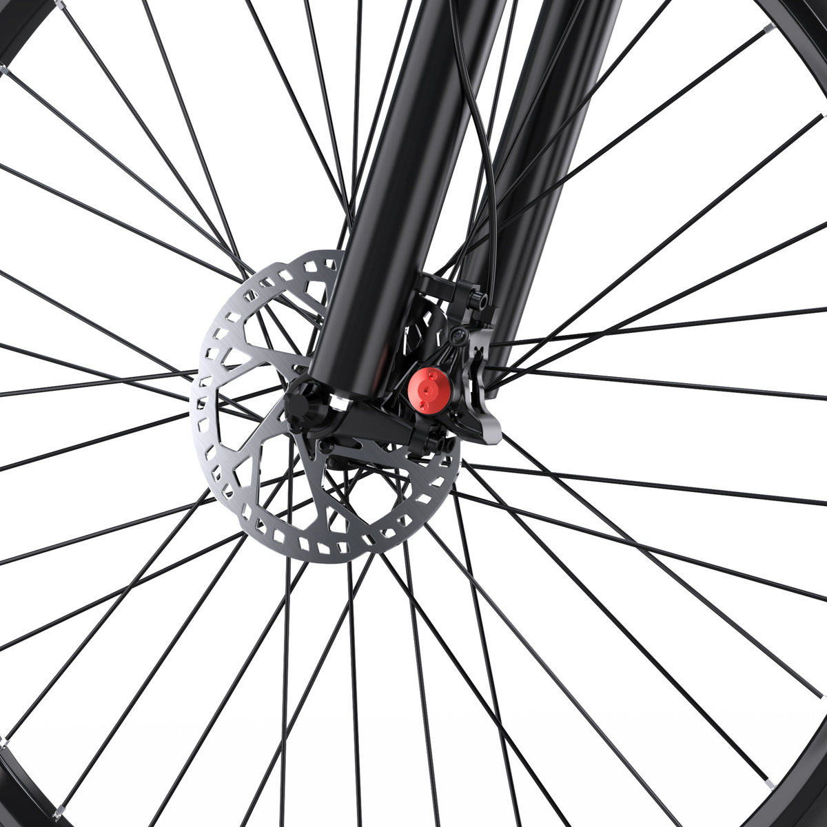 Duotts C29-M - Bicicletta elettrica - Wheelyshop