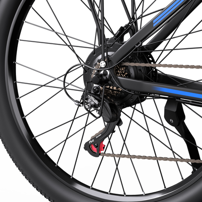 Duotts C29-M - Bicicletta elettrica - Wheelyshop