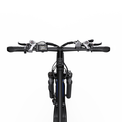 Duotts C29-M - Bicicletta elettrica - Wheelyshop
