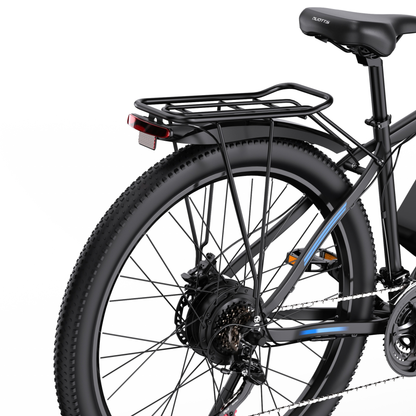 Duotts C29-S - Bicicletta elettrica - Wheelyshop