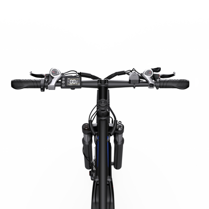 Duotts C29-S - Bicicletta elettrica - Wheelyshop