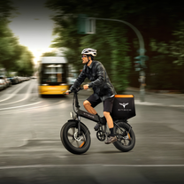 Bici elettrica ENGWE EP-2 Pro con pneumatici ad aria da 20 pollici – Wheelyshop