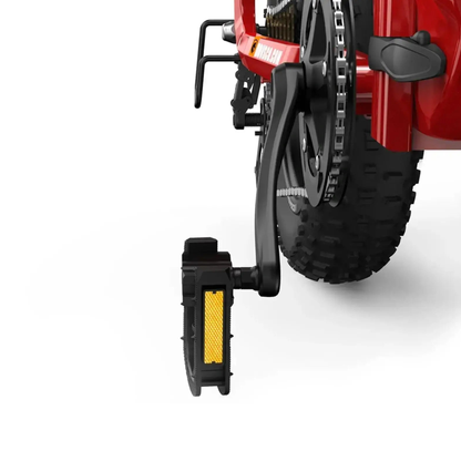 HOVSCO HovBeta - Bicicletta elettrica - Wheelyshop
