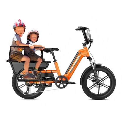 HOVSCO HovCart - Bicicletta elettrica - Wheelyshop
