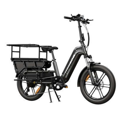HOVSCO HovCart - Bicicletta elettrica - Wheelyshop