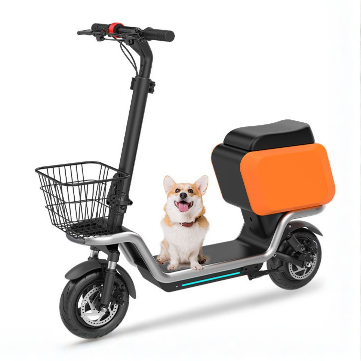 Monopattino elettrico HX S20 visto di tre quarti con un cane