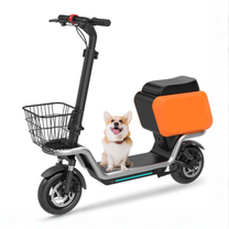 Monopattino elettrico HX S20 visto di tre quarti con un cane