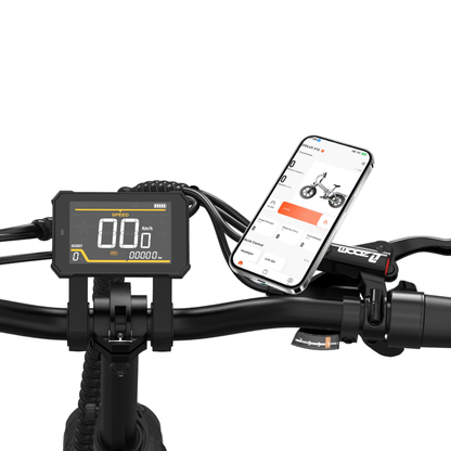 KOOLUX X12 bicicletta elettrica con carico massimo di 120 kg – Wheelyshop