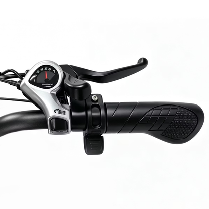 LOOKROAD L20 MIN elcykel med EN06 LCD-display – Wheelyshop