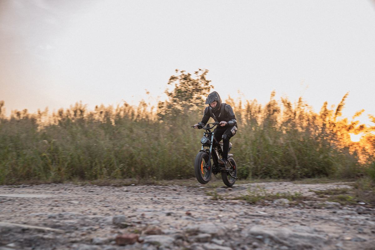 Persona alla guida della fat bike elettrica LOOKROAD L20 su un prato
