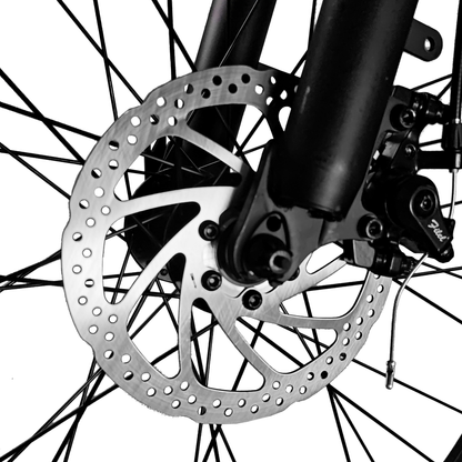 LOOKROAD L26 elcykel med löstagbart 48V 15Ah-batteri – Wheelyshop