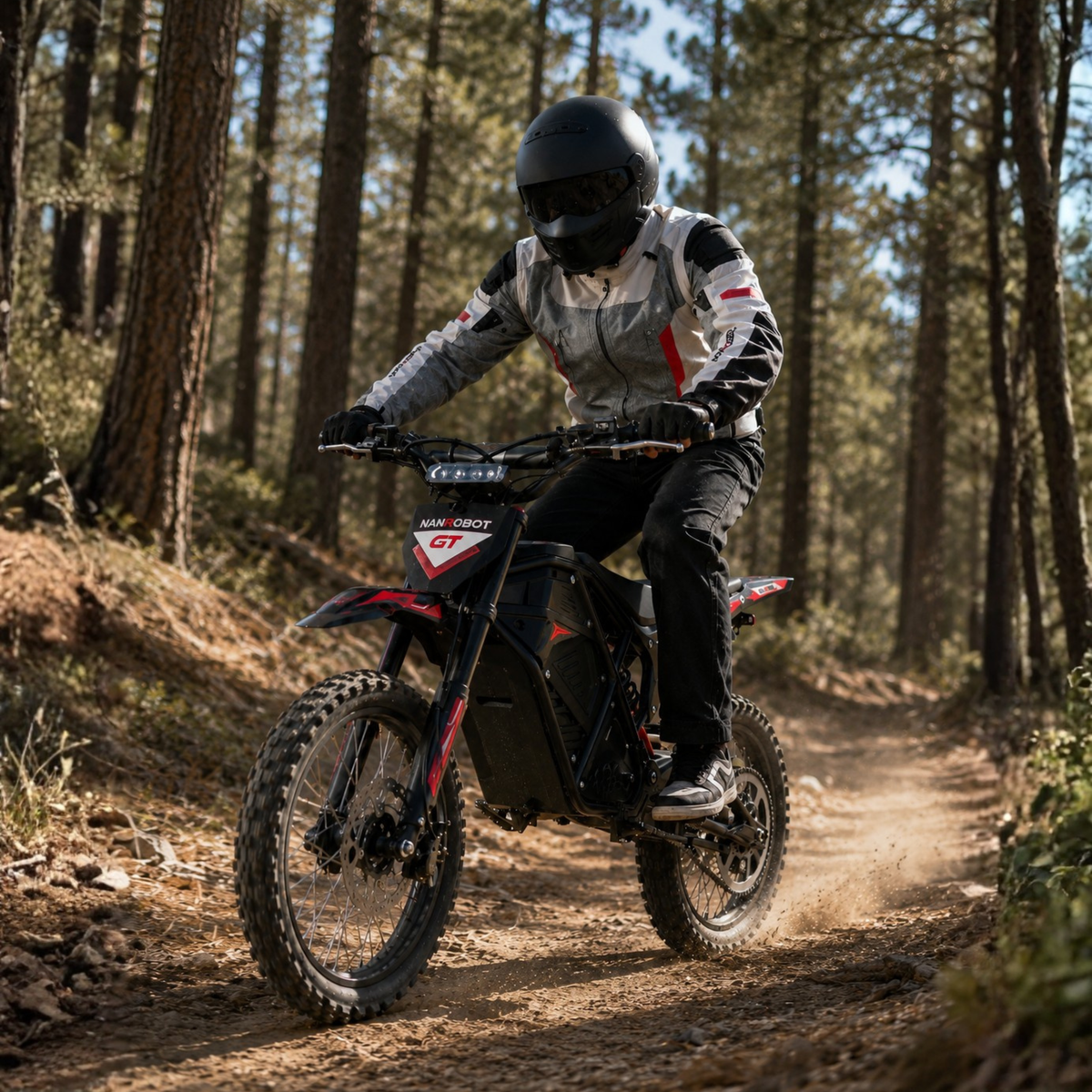 Nanrobot GTR el-cross med hydraulisk dämpning – Wheelyshop