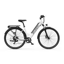 OneSport OT12 Pro, bicicletta elettrica bianca vista di lato con telaio basso, portapacchi e parafanghi