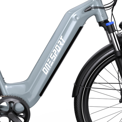 OneSport WT05, vista laterale del telaio grigio con logo, forcella anteriore, ruota anteriore e parafango