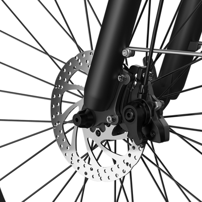 PIXAR C1 - Bicicletta elettrica - Wheelyshop