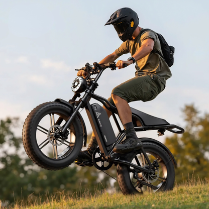 TST R002 Plus - Bicicletta elettrica - Wheelyshop