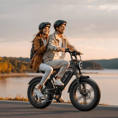 TST R002 Plus - Bicicletta elettrica - Wheelyshop
