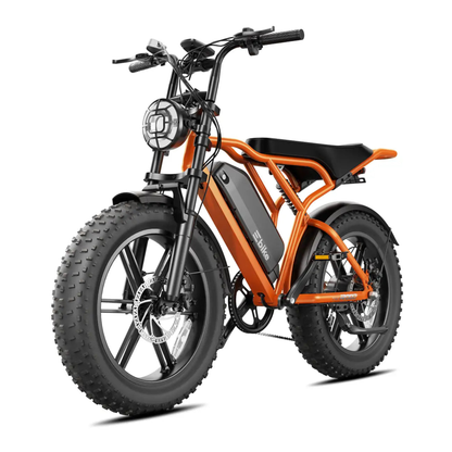 TST R002 Plus - Bicicletta elettrica - Wheelyshop