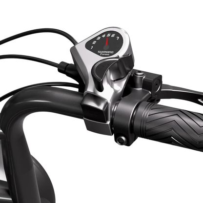TST R002 Plus - Bicicletta elettrica - Wheelyshop