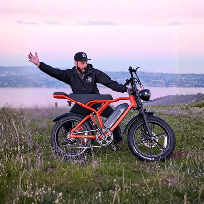 TST R002 Plus - Bicicletta elettrica - Wheelyshop