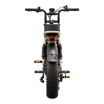 Fat bike elettrica TST R7 vista da dietro in colore beige