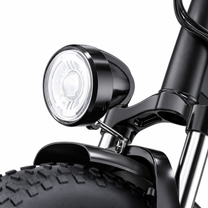Bicicletta elettrica URLIFE E20 Pro con potenza motore 750W / 1500W – Wheelyshop