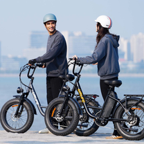 Bicicletta elettrica URLIFE E20 Pro con 7 velocità – Wheelyshop