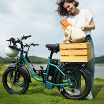 Donna in piedi con la fat bike elettrica URLIFE E20 in colore verde con cestino posteriore in riva a un lago