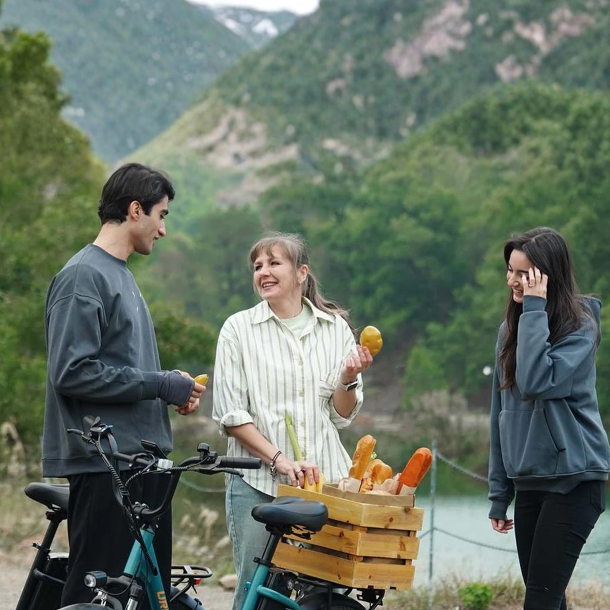 URLIFE E20 elcykel med framfjädring – Wheelyshop