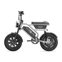 Fat bike elettrica URLIFE T16 vista di lato in colore argento