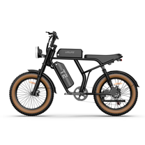 Fat bike elettrica URLIFE T2 vista di lato